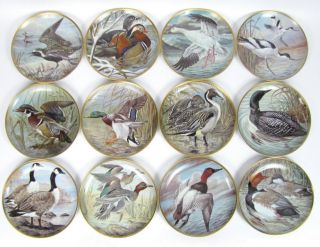 Set 12 Franklin Porcelain Water Birds World Plates Dish