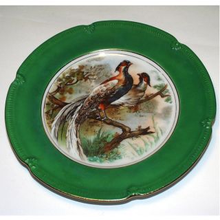 Antique Bavarian Porcelain Plate Winterling Bird Decorative