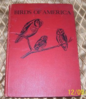 COLLIER BIRDS OF AMERICA 106 COLOR PLATES BY LOUIS AGASSIZ FUERTES