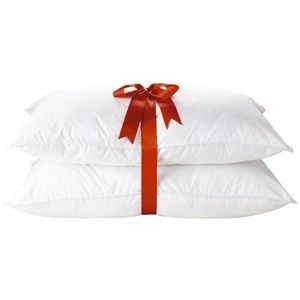 Preferred Comfort Feather Down 2 Standard Pillow Set