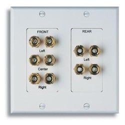  HTWP Home Theater Wall Plate 10 Connectors for 5 Pair Speakers