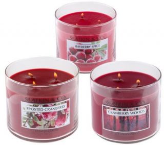   Co. Set of 3 Holiday Scented Triple Wick 14.5oz. Candles —