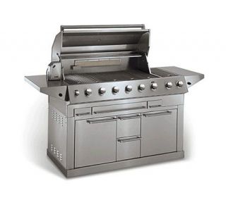 Electrolux ICON 57 Stainless Steel LP Grill —
