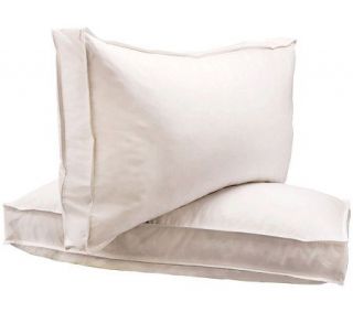 NorthernNights Set/2 King Down Around Design Pillows w/Gusset