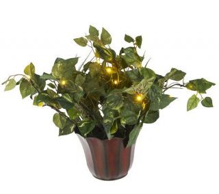 BethlehemLights BatteryOperated 20 House Plant in MetalPlanter with 