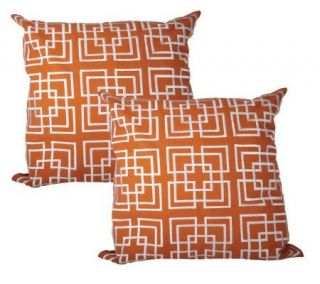   Set of Two HandEmbroidered Geometric 20x20 Pillows —