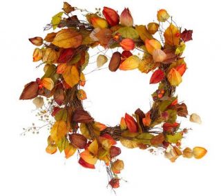 Chinese Lantern Harvest Berry 26 inch Wreath by David Shindler