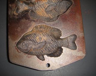 lodge cast iron fish cornbread muffin mold pan measures approx 15 1 4