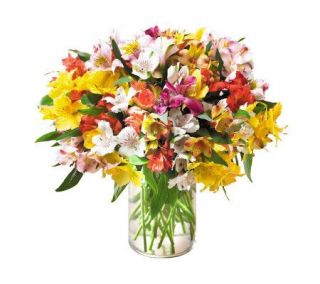 200 Blooms of Peruvian Lillies in Tulip Vase byProFlowers —