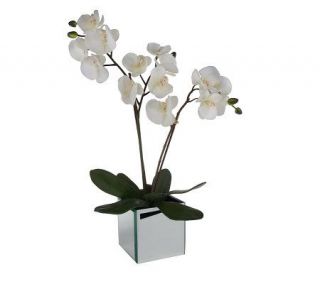 Linda Dano Faux White Orchid in Mirrored Vase —