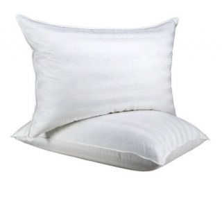 Northern Nights King S/2 500TC Egy Cotton GooseDown Pillows — 