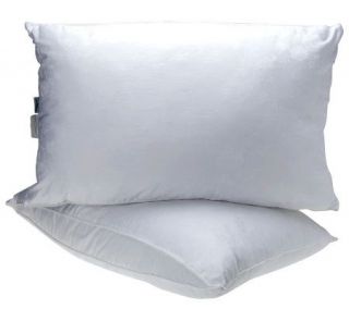 Laura Ashley Marciana S/2 Lux Loft STD Down Alt. Pillows —