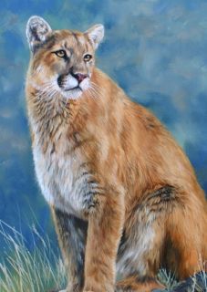 COUGAR Superb New DAVID STRIBBLING Oil Painting