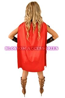 B87 Xena Warrior Super Hero Ladies Fancy Dress Costume