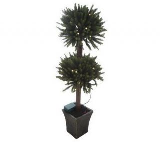 BethlehemLights BatteryOperated 4 Double Spruce Topiary with Timer