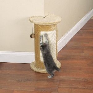 bungee ball on top will entice cats to the scratcher