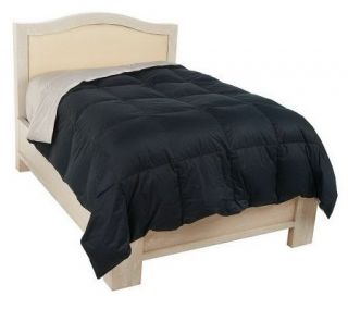 Northern Nights TW Reversible Down Comforter in Solid Colors