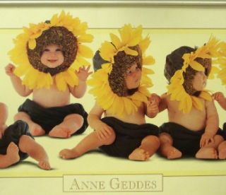FINE PRINT SUNFLOWER BABIES BY ANNE GEDDES, FRAMED & MATTED SIZE 38