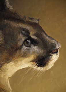 Richard Murray Oil Painting Cougar Mountain Lion Western Art Wildlife