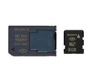 Sony PSP 8GB Memory Stick Micro M2   PSP Go —