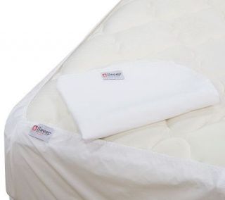 Sweep Under the Mattress FL Bed Bug Protector —