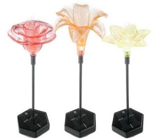 Set of 3 Solar Powered Color Changing Fiber Optic Flowers —