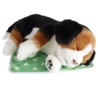 Alive Pets Sleeping Cuties Interactive Plush Animals by Wowwee