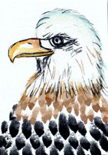 AUBURN AL. WAR EAGLE aceo ORIGINAL watercolor Maureen Jensen INCLUDES