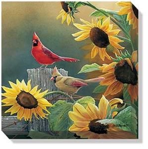 Sunny Side Up Cardinals Wrapped Canvas by Susan Bourdet 10 5 x 10 5