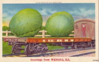 Were Proud of Our Crops Here Greetings from Wenona IL