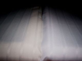 NIP Croscill Hotelfabric Shower Curtain Liner Water Repellent Grommets