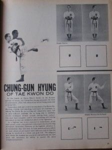 11 71 karate illustrated magazine al malia dacascos