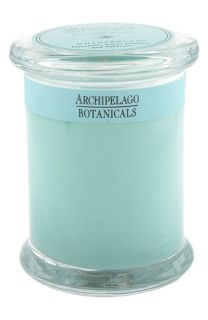 Archipelago Botanicals Excursion Glass Jar Candle