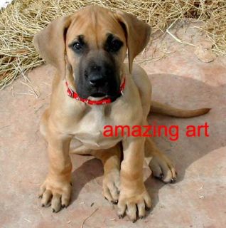 Hand Painted Animals Dog Oil Painting Great Dane Puppy