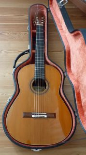 Daniel Friederich Guitar 1981 Cedar Indian Palisander