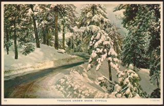Cyprus Troodos Under Snow 1950s Tucks Mint Postcard Snow Trees