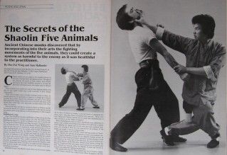 89 in kung fu karate doc fai wong cynthia rothrock