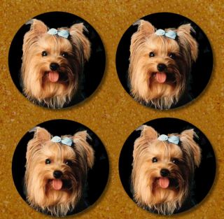 Yorkshire Terrier Yorkie Push Pin Gift Set Cubicle