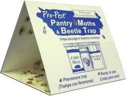  Pantry Moth Beetle Trap 12 Ready to Use Pre Baited Traps
