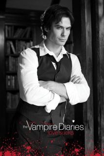    Vampire Diaries Damon poster   Ian Somerhalder   New B&W TV poster