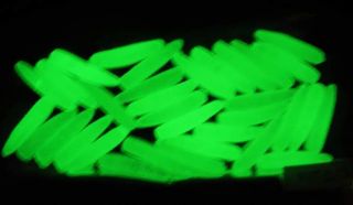  Crappie Panfish Glow in Dark Micro Worms New Fishing Lures