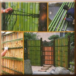 Japanese Bamboo Fence Rope Work Garden Architecture Lb