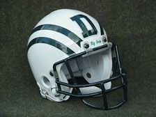 Dartmouth Big Green Mini Helmet PIK of 4 Styles New