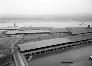 Docks Marine Terminal Savannah GA photo ca 1900
