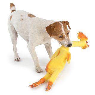 Large 24 Rubber Chicken Squeaky Puppy Dog Toy or Gag Gift Novelty