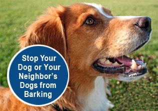 Powerful Bark Stop Device Stop UR Neighbors Barking Dog