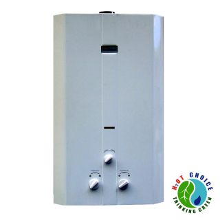 Natural Gas Tankless Water Heater 16 L with Power Vent