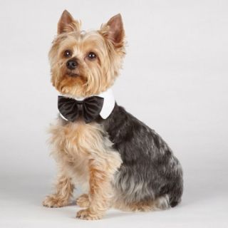 Any Size Aria Dog Grooming Party Black Satin Bowtie
