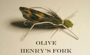 Henrys Fork Hopper Olive 10 Trout Panfish