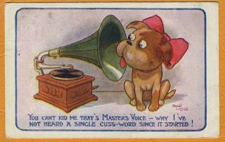 donald mcgill dog w gramophone record player